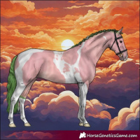Horse Color:Watercolor Buckskin Tobiano