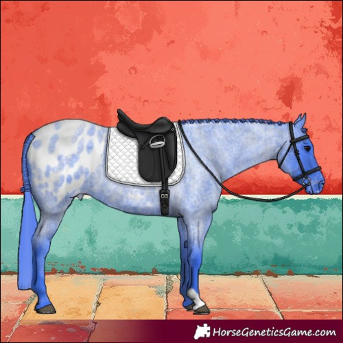 Horse Color:Watercolor Blue Roan Blanket 