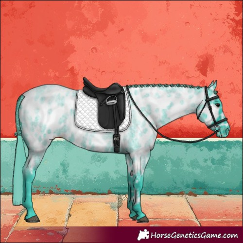Horse Color:Watercolor Smoky Blue Roan Near Leopard 