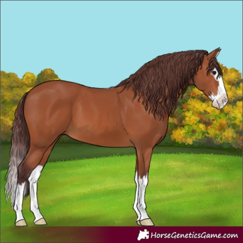 Horse Color:Chocolate Bay Splash 