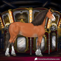 Horse Color:Bay Splash 