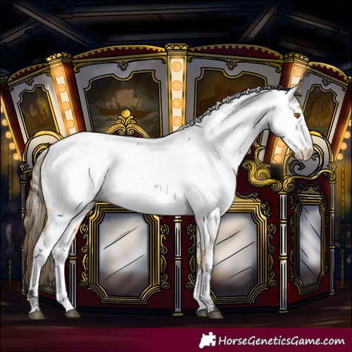 Horse Color:Buckskin Near Fewspot 