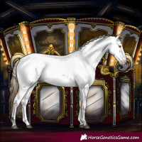 Horse Color:Buckskin Near Fewspot 