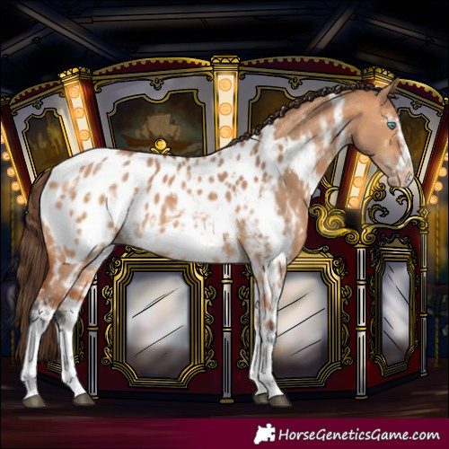 Horse Color:Bay Dun Sabino Frame Blanket Rabicano 