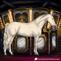 Horse Color:Palomino Dun Rabicano