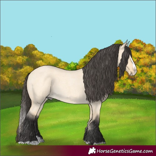 Horse Color:Buckskin Roan Dun Splash 