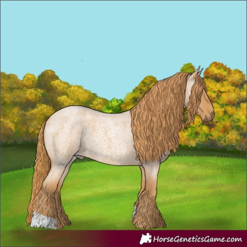 Horse Color:Red Roan 