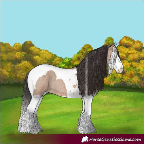 Horse Color:Bay Roan Dun Splash Tobiano 