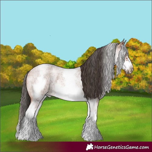 Horse Color:White Spotted Bay Roan Frame 