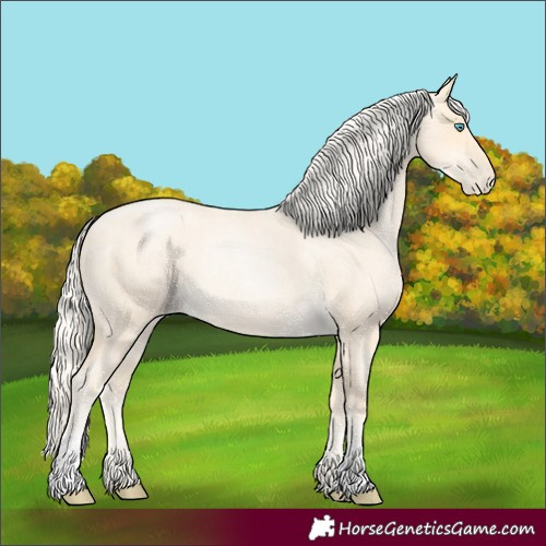 Horse Color:Palomino Roan Pearl