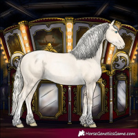 Horse Color:Palomino Roan Pearl