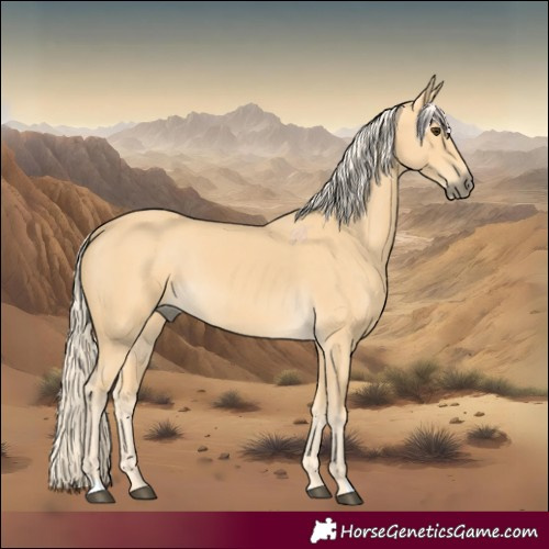 Horse Color:Palomino 
