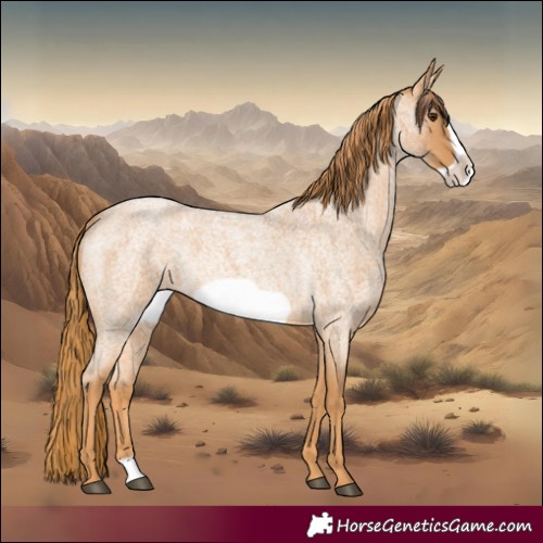 Horse Color:Red Roan Frame 