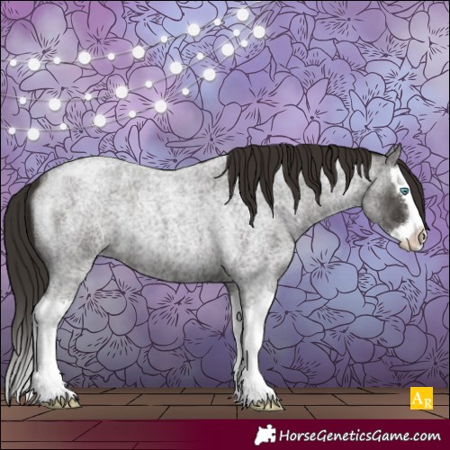Horse Color:Liver Red Roan Splash 