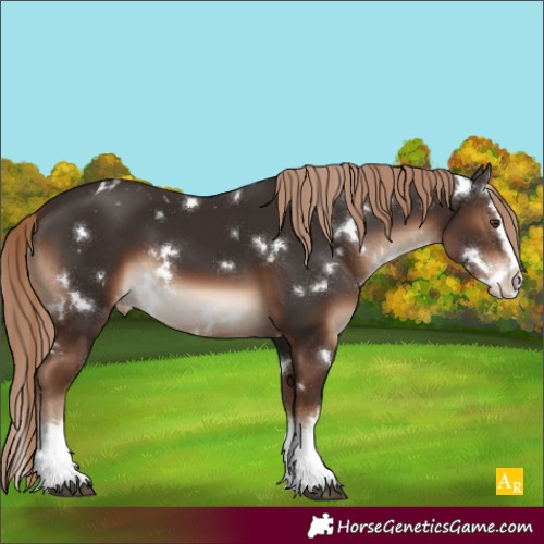 Horse Color:White Spotted Liver Chestnut Splash Varnish 