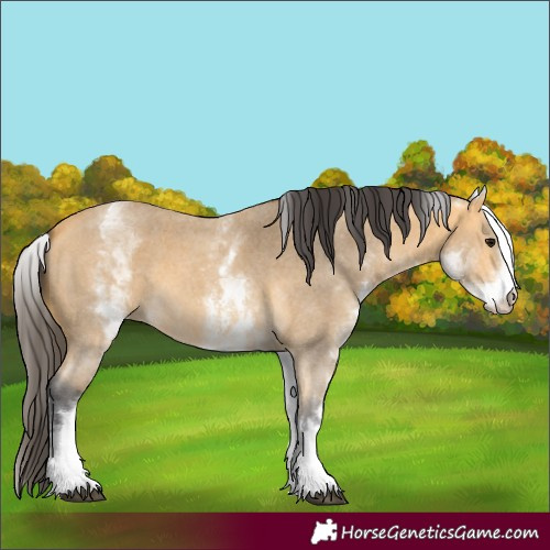 Horse Color:White Spotted Buckskin Sabino