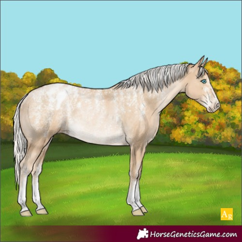 Horse Color:Powder White Silver Smoky Black Pearl Appaloosa Rabicano 
