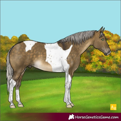 Horse Color:Silver Buckskin Dun Tobiano 