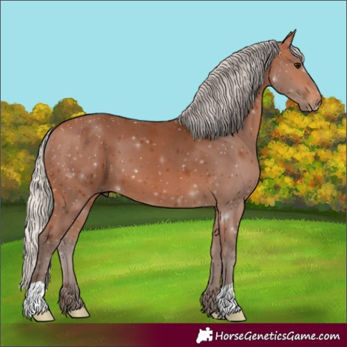 Horse Color:Silver Bay 