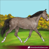 Horse Color:Liver Red Dun 