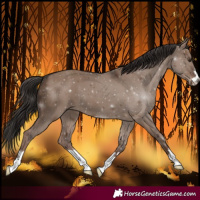 Horse Color:Liver Red Dun 