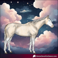 Horse Color:Palomino Roan Splash