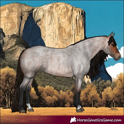 Horse Color:Bay Roan