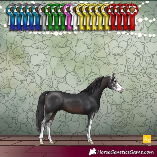 Horse Color:Brown Sabino 