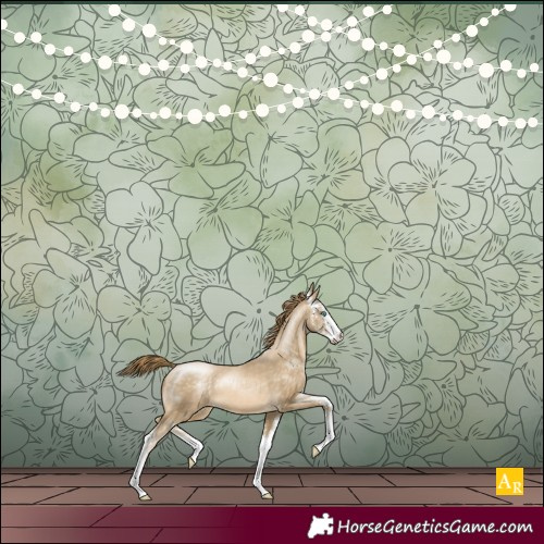 Horse Color:Buckskin Pearl Sabino 