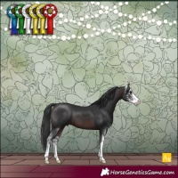 Horse Color:Brown Sabino