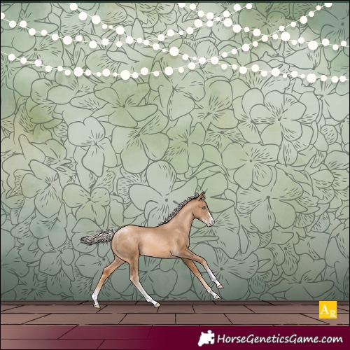 Horse Color:Chocolate Palomino Pearl Sabino 