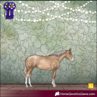 Horse Color:Chocolate Palomino Pearl Sabino