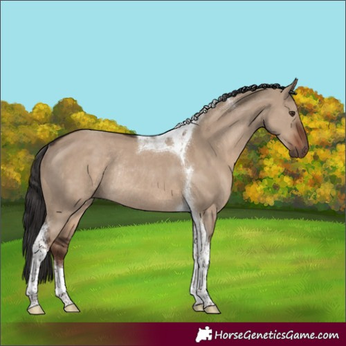Horse Color:Liver Red Dun Tobiano Rabicano