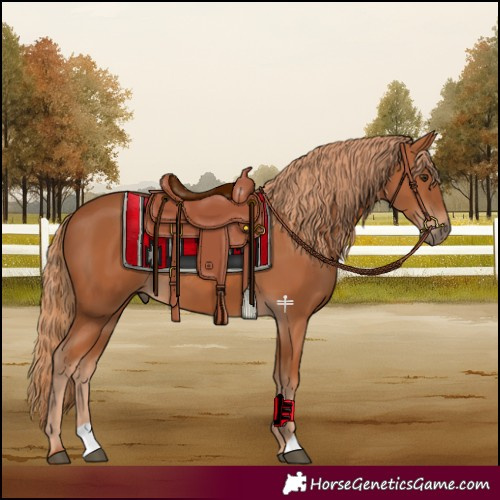 Horse Color:Chestnut 