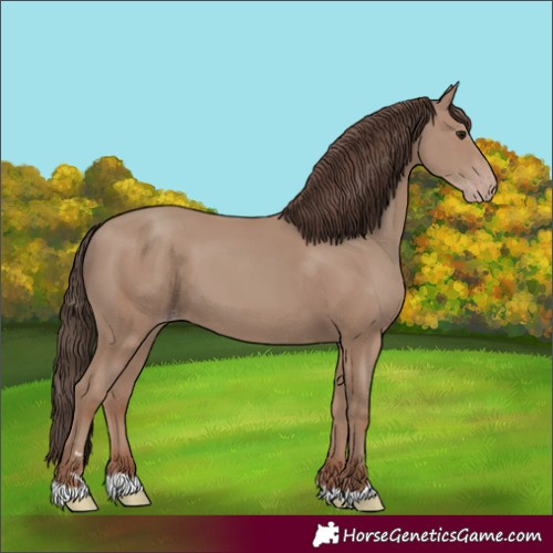 Horse Color:Classic Champagne 