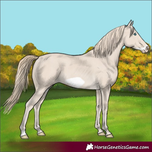 Horse Color:Smoky Creme Frame
