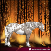Horse Color:White Spotted Silver Grullo Mushroom Frame Blanket 