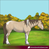 Horse Color:Classic Cream Champagne Dun Tobiano