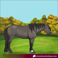Horse Color:Smoky Grullo 