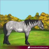 Horse Color:Grullo Roan Mushroom Frame 