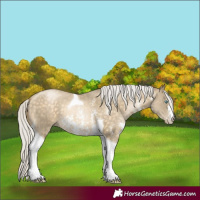 Horse Color:Silver Buckskin Pearl Sabino Tobiano
