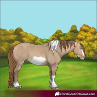 Horse Color:Gray Perlino Dun Mushroom Tobiano Frame