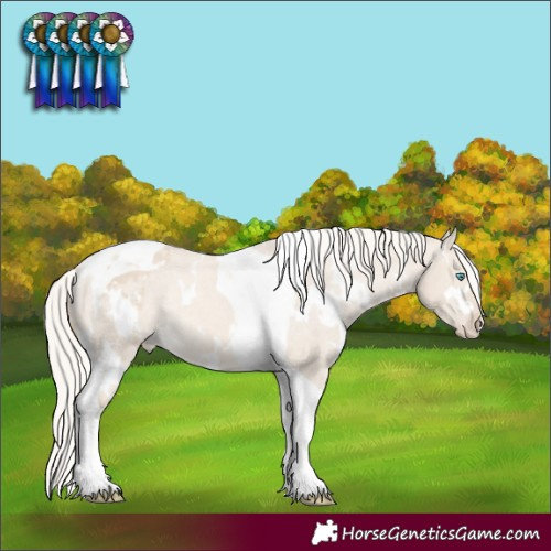 Horse Color:White Spotted Cremello Dun Mushroom Tobiano Appaloosa Rabicano