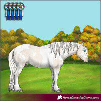 Horse Color:White Spotted Cremello Dun Mushroom Tobiano Appaloosa Rabicano