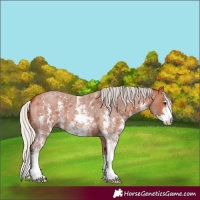 Horse Color:Silver Bay Roan Sabino 