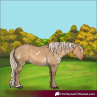 Horse Color:White Spotted Chocolate Palomino Dun