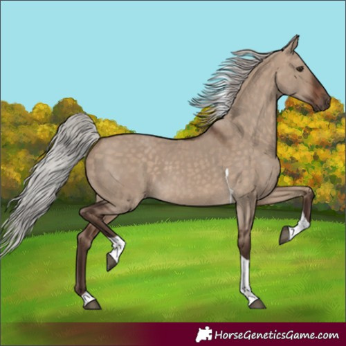 Horse Color:Silver Brown Dun Tobiano