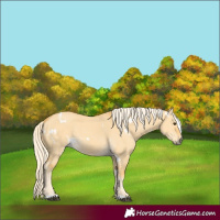 Horse Color:White Spotted Palomino Dun