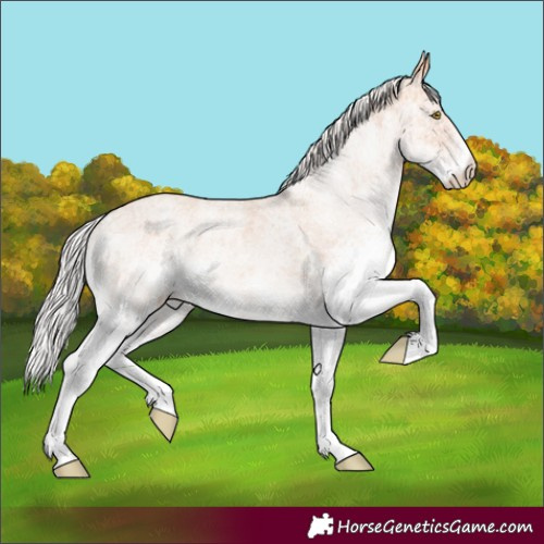 Horse Color:White Spotted Silver Amber Champagne 