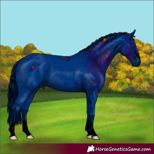 Horse Color:ERROR: UNKNOWN ANOMALY